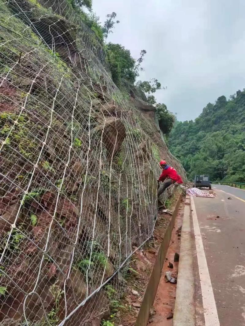青岛四方区边坡绿化防护